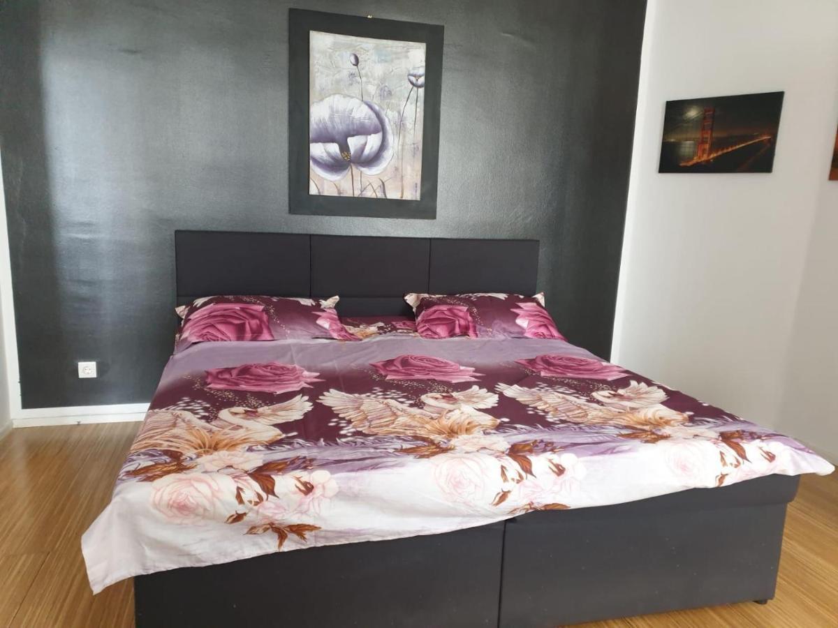 Meldemannstrasse Apartment